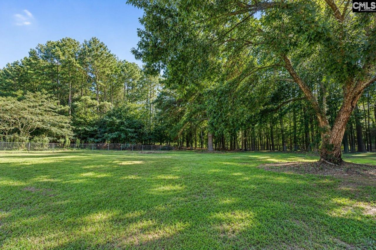 145 Brown Meadows Court Photo 47
