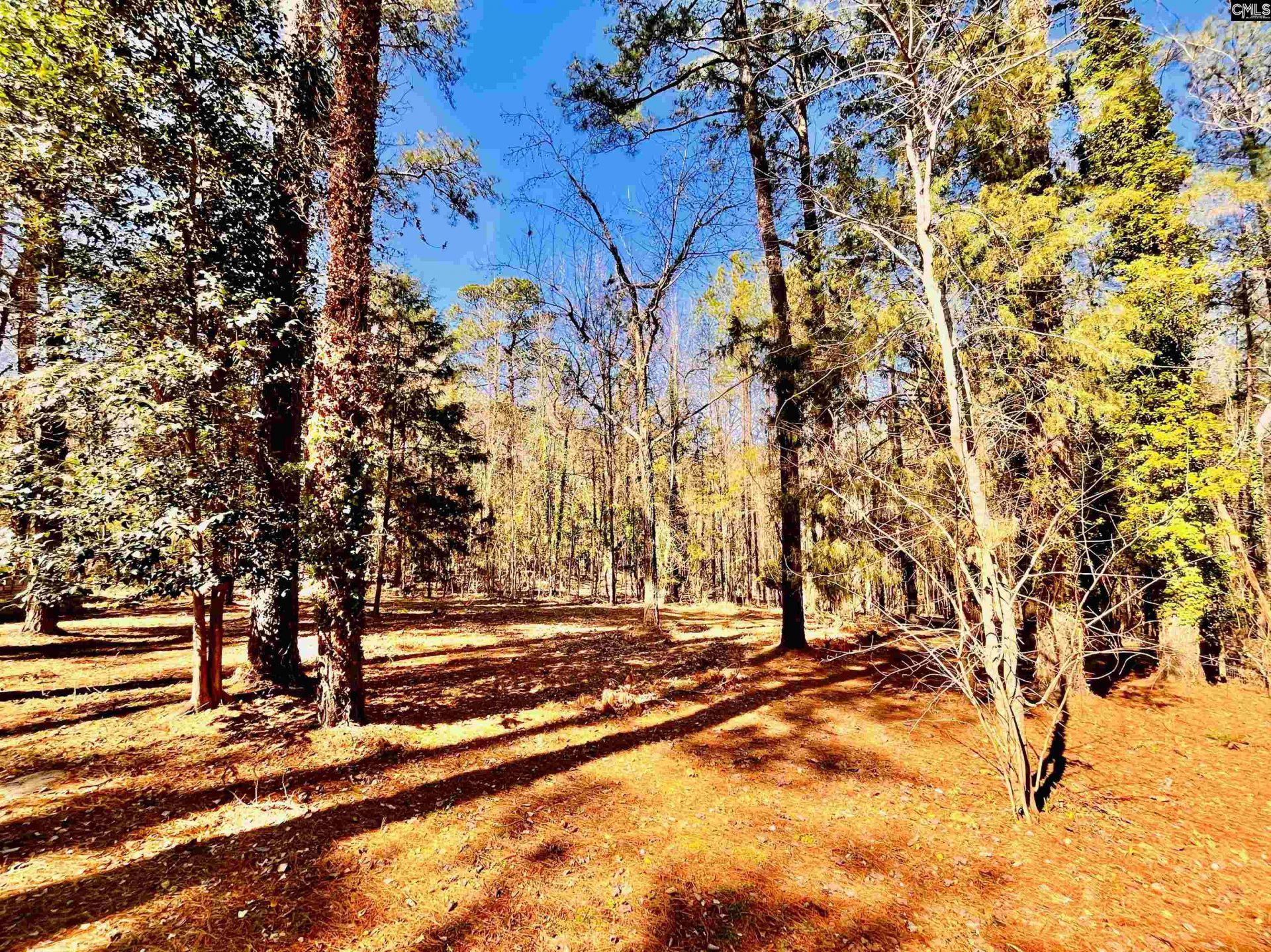 1301 Winterwood Road  Photo 36