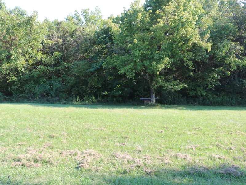 590 Agee Road, Owenton, KY 40359 Photo 14