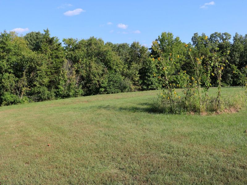 590 Agee Road, Owenton, KY 40359 Photo 21