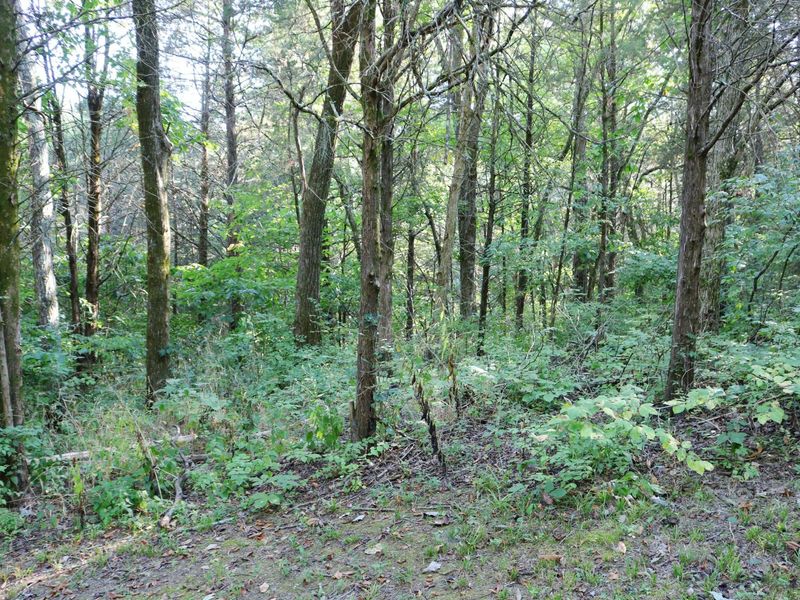 590 Agee Road, Owenton, KY 40359 Photo 22