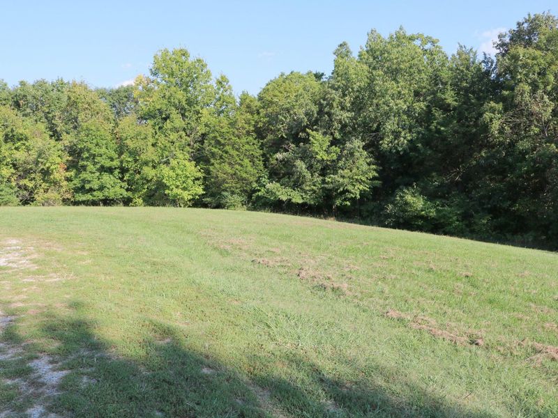 590 Agee Road, Owenton, KY 40359 Photo 5