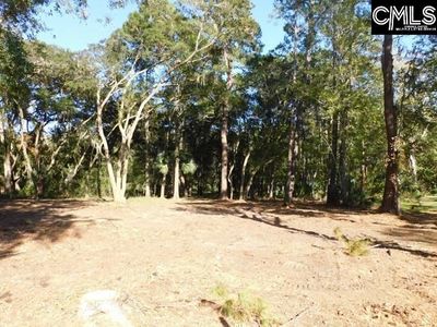 8139 Murphy Creek Court , Edisto Island, SC 29438