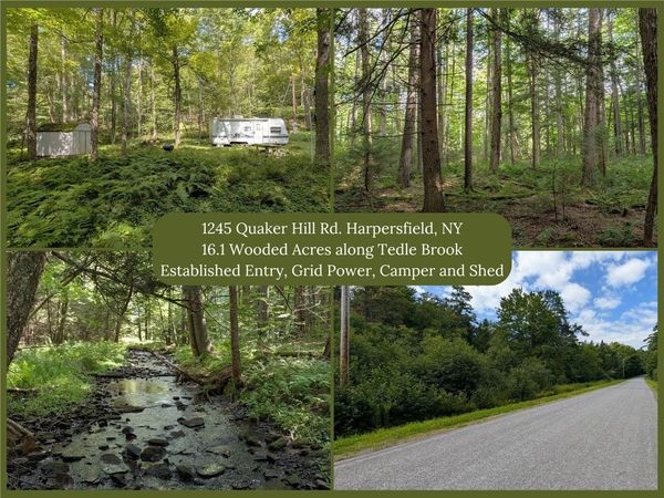 1245 Quaker Hill Road , Jefferson, NY 12093