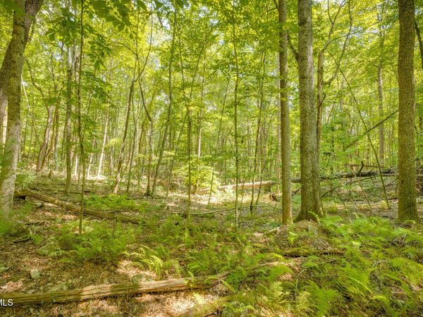 Lot 13 Black Bear Drive, Butler, TN 37640