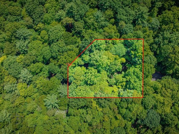 Lot 13 Black Bear Drive, Butler, TN 37640
