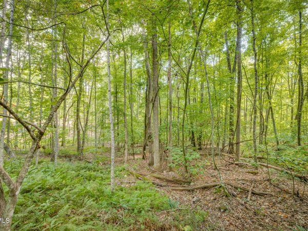 Lot 16 Forest Drive, Butler, TN 37640
