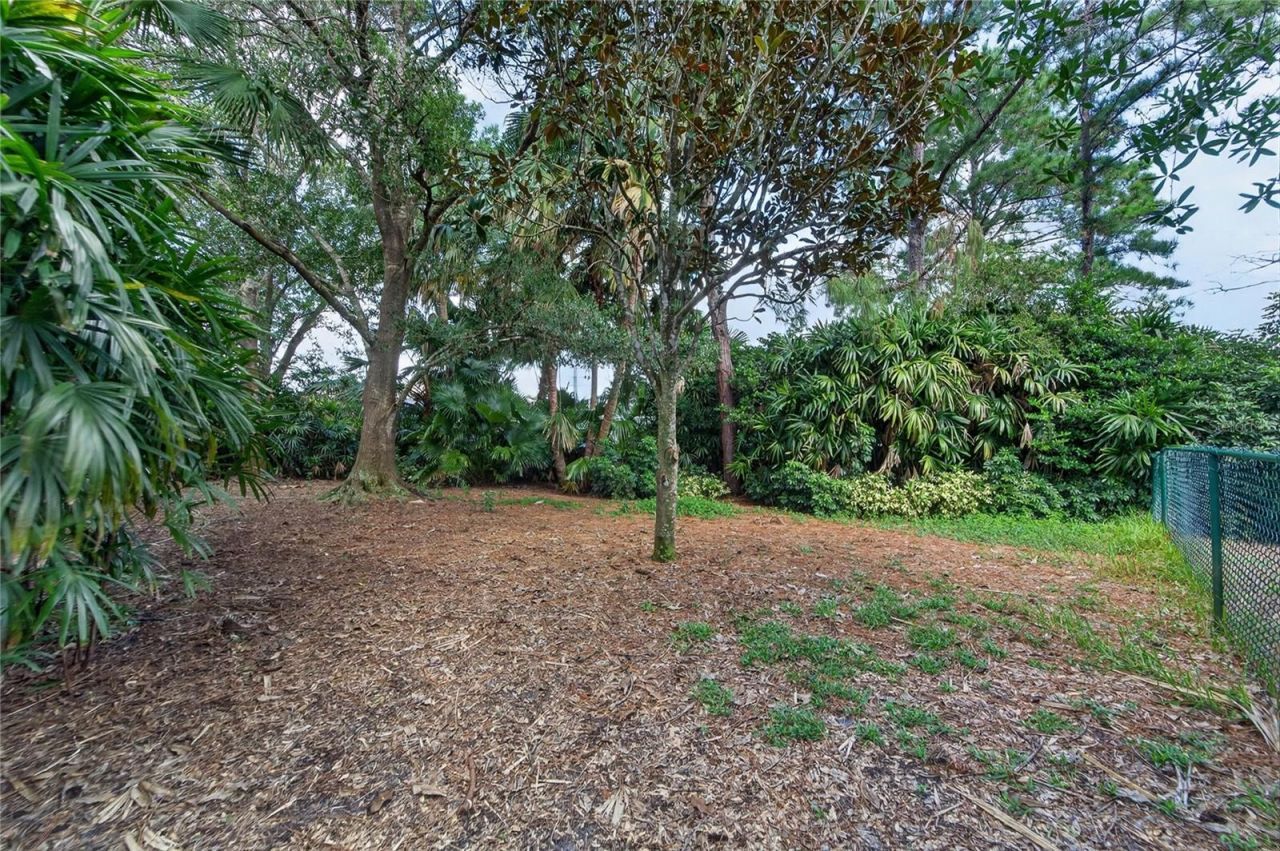 8929 Garner Court, Trinity, FL 34655 Photo