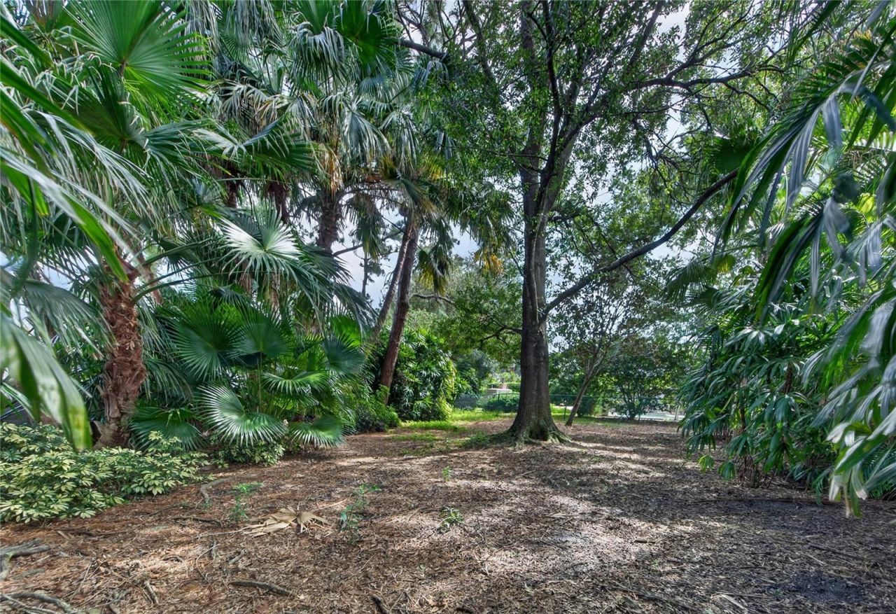 8929 Garner Court, Trinity, FL 34655 Photo