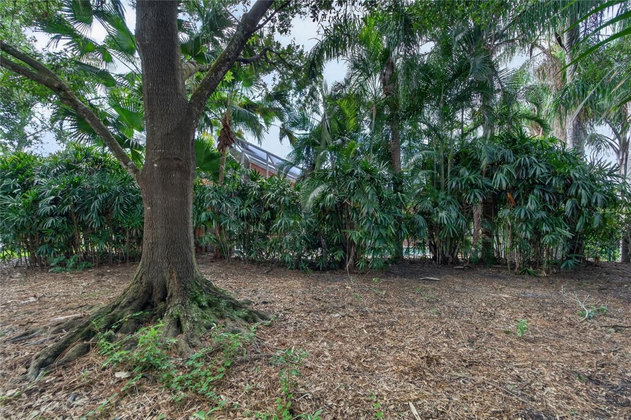8929 Garner Court, Trinity, FL 34655 Photo