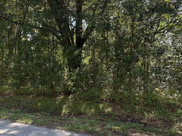 TBD MAGICAL TERRACE, Lake City, FL 32024