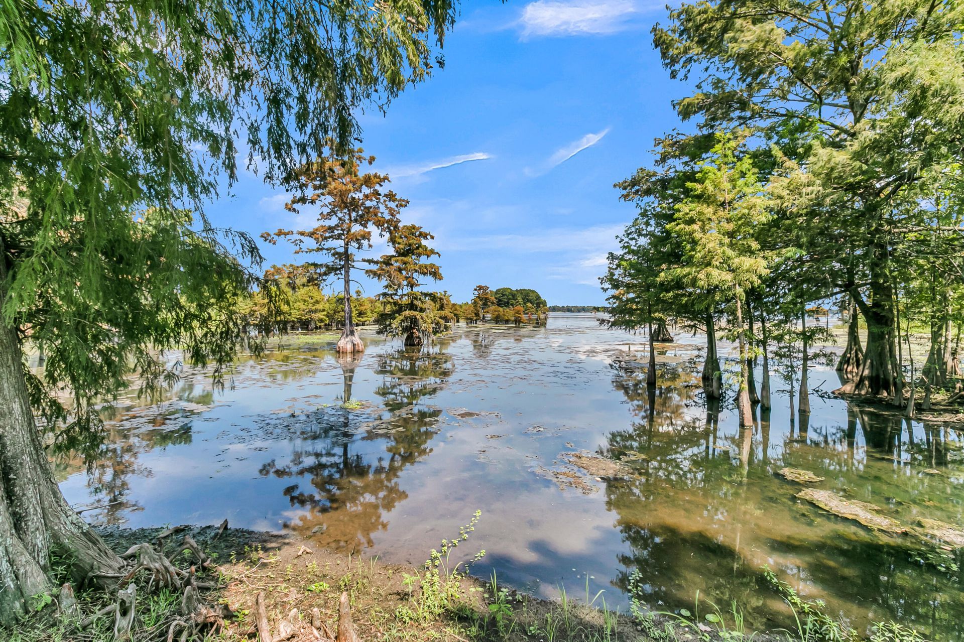 1232 Longpoint Road Photo 5