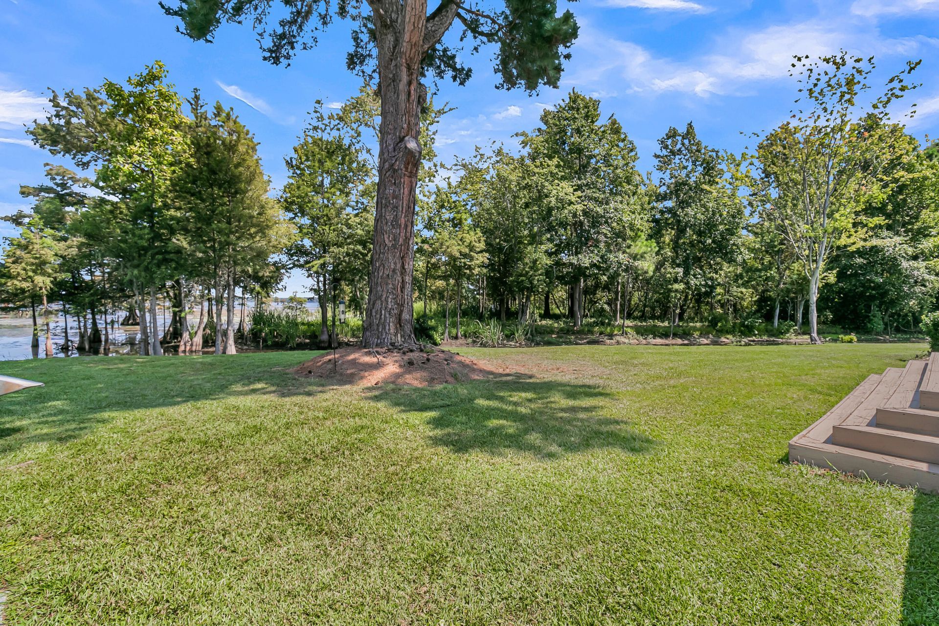 1232 Longpoint Road Photo 65
