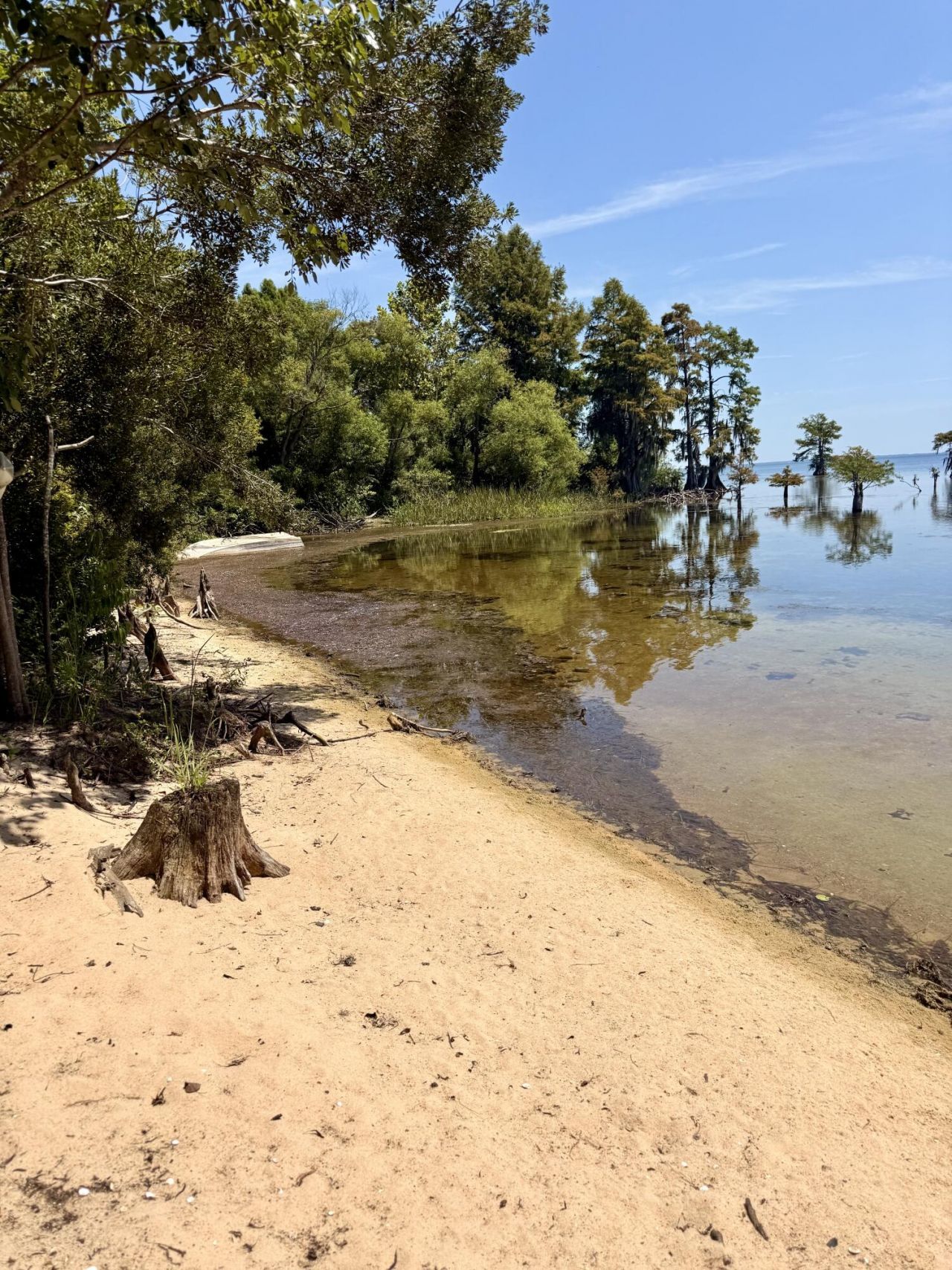 1232 Longpoint Road Photo 7