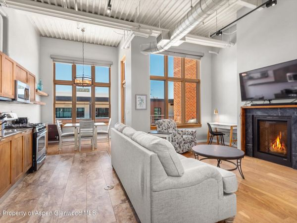 231 Robinson Street, Unit R-310, Basalt, CO 81621