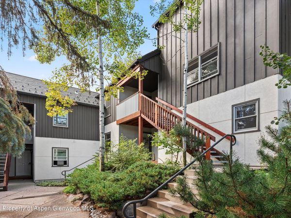 414 Pacific Avenue, Unit G, Aspen, CO 81611