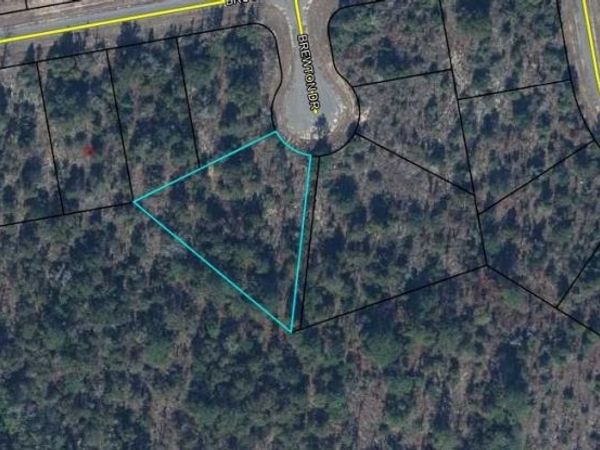 0000 BREWTON DRIVE , CHIPLEY, FL 32428