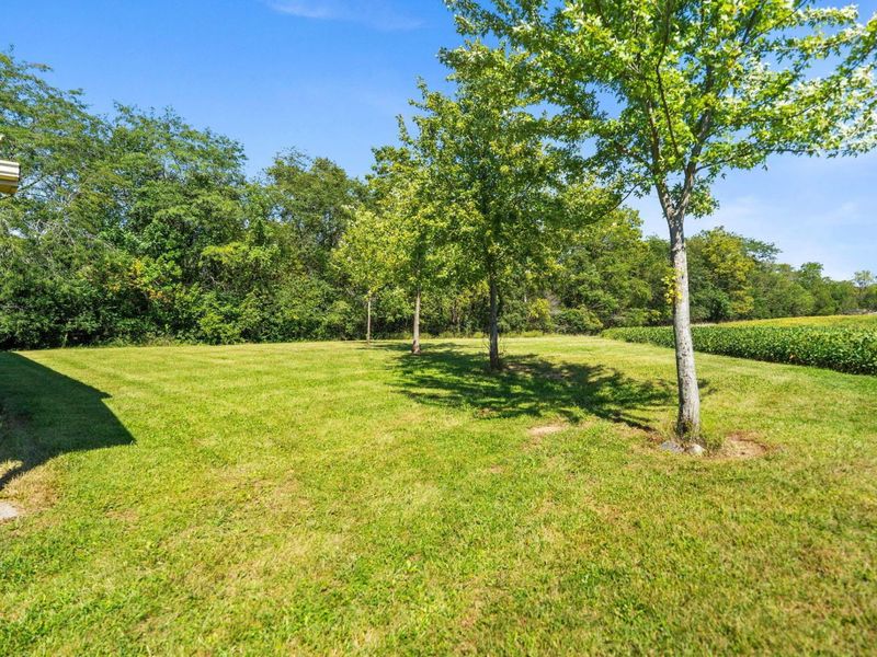 3191 Spring Valley Road, London, OH 43140 Photo 99