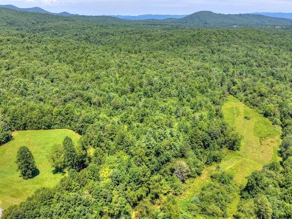 48.4ac Lofty Heights, Mineral Bluff, GA 30559