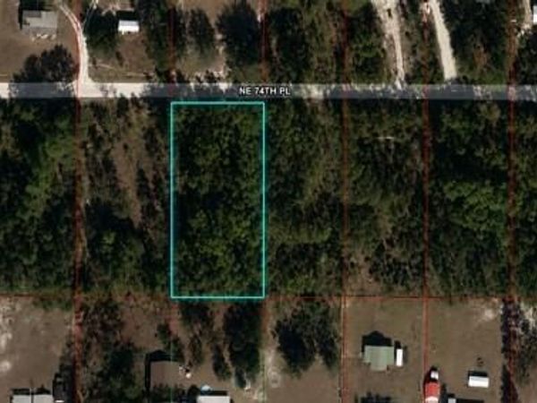 NE 74 TH PLACE , BRONSON, FL 32621
