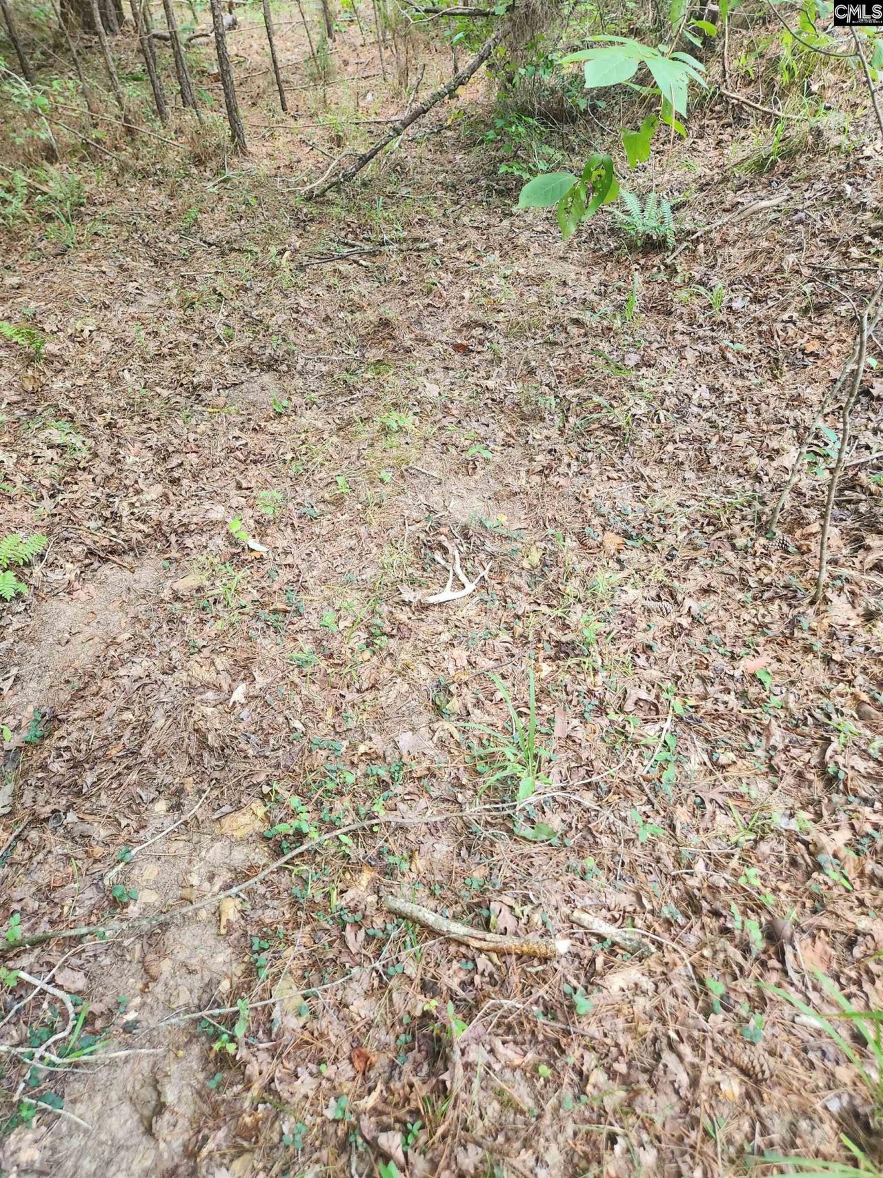 Tract 1 Hoke Road  Photo 10