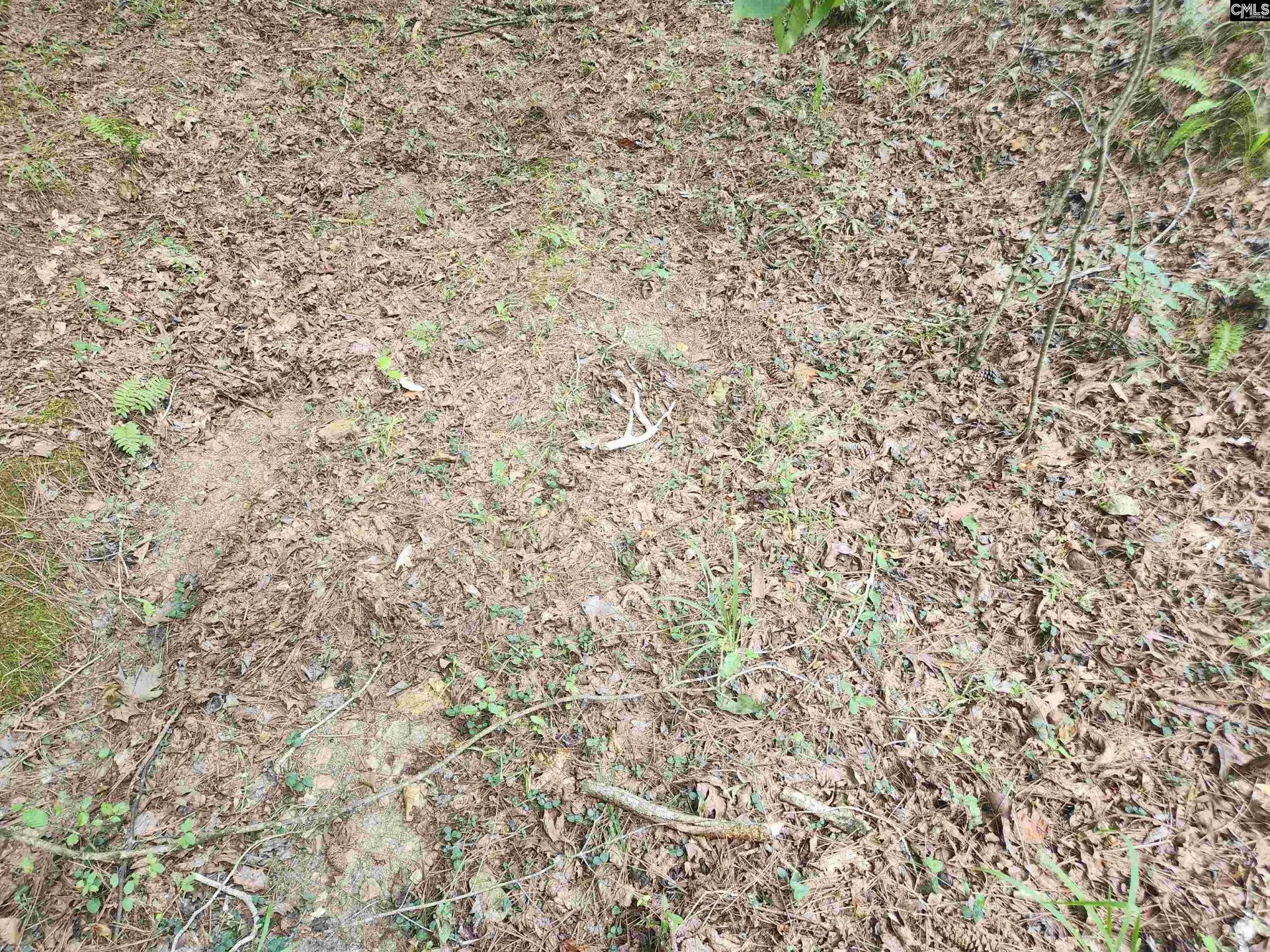 Tract 1 Hoke Road  Photo 11
