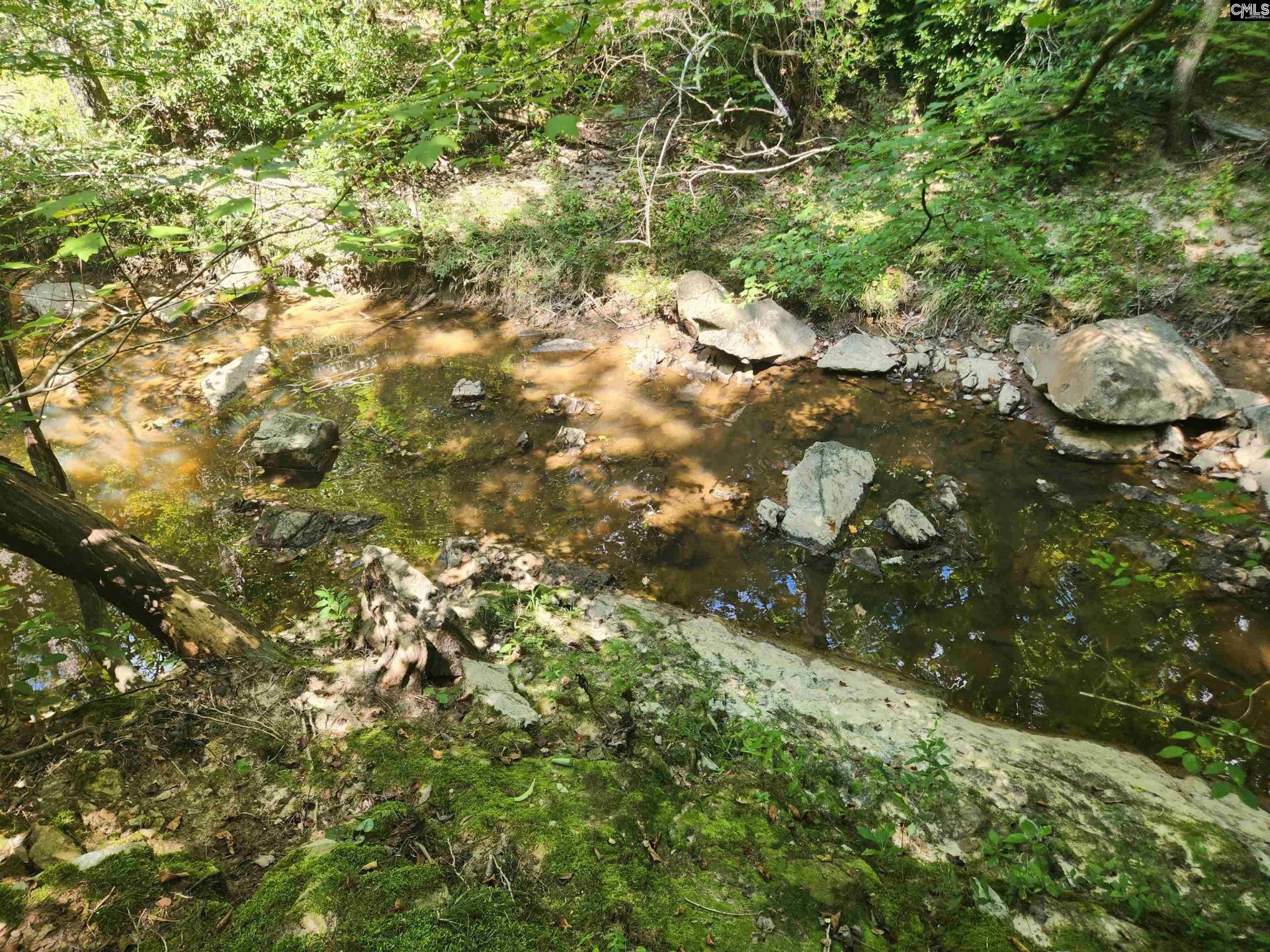 Tract 1 Hoke Road  Photo 13