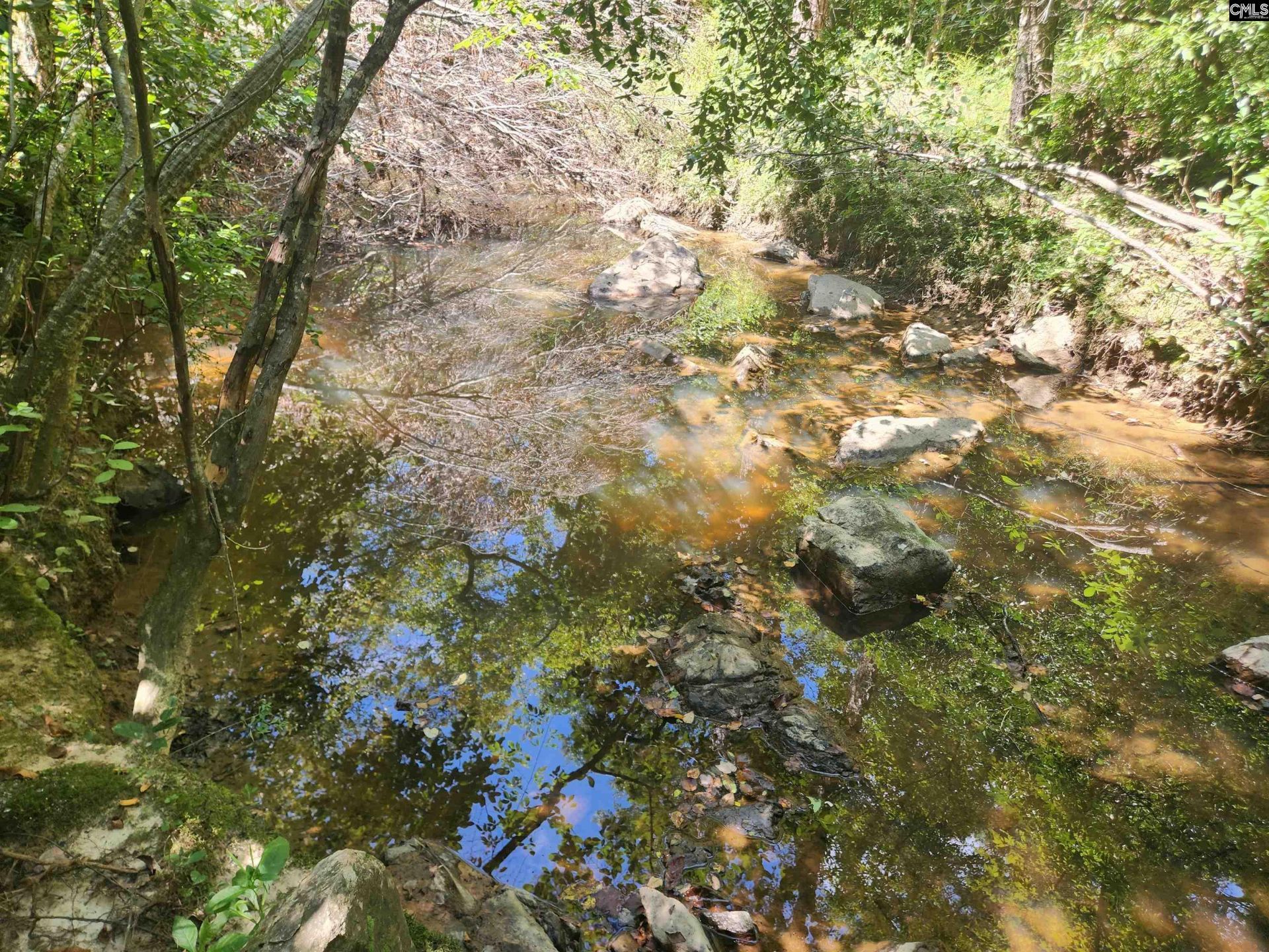 Tract 1 Hoke Road  Photo 14