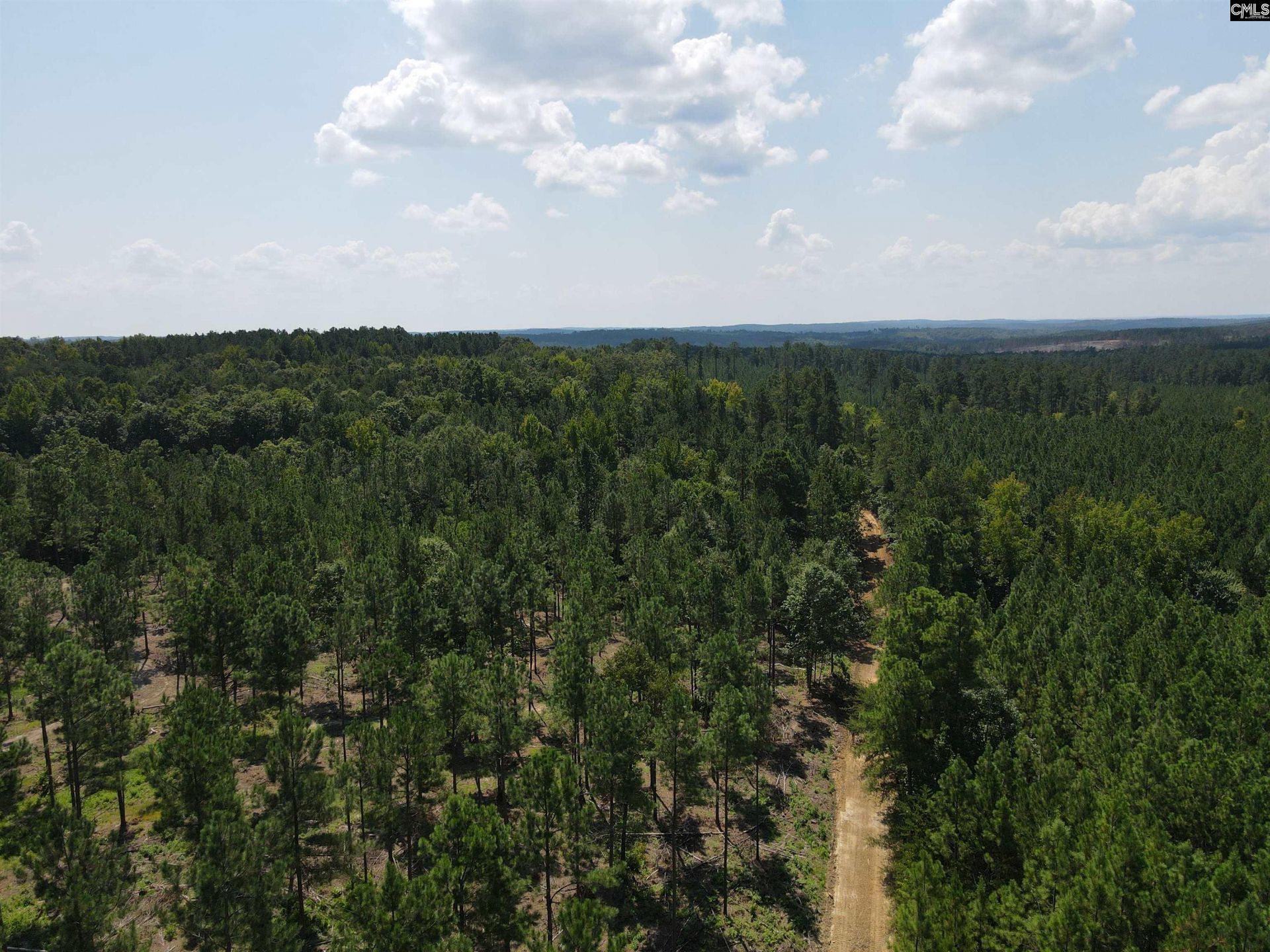 Tract 1 Hoke Road  Photo 17