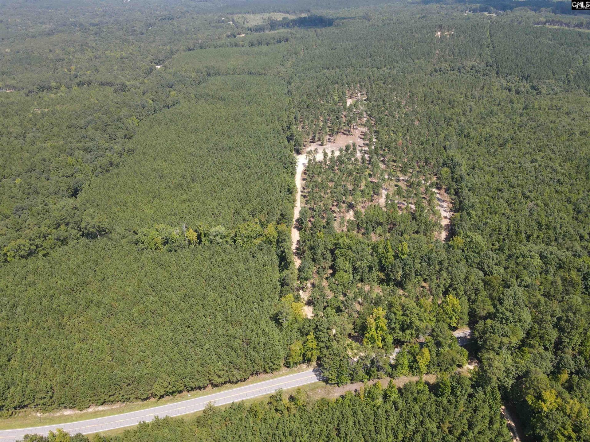 Tract 1 Hoke Road  Photo 19