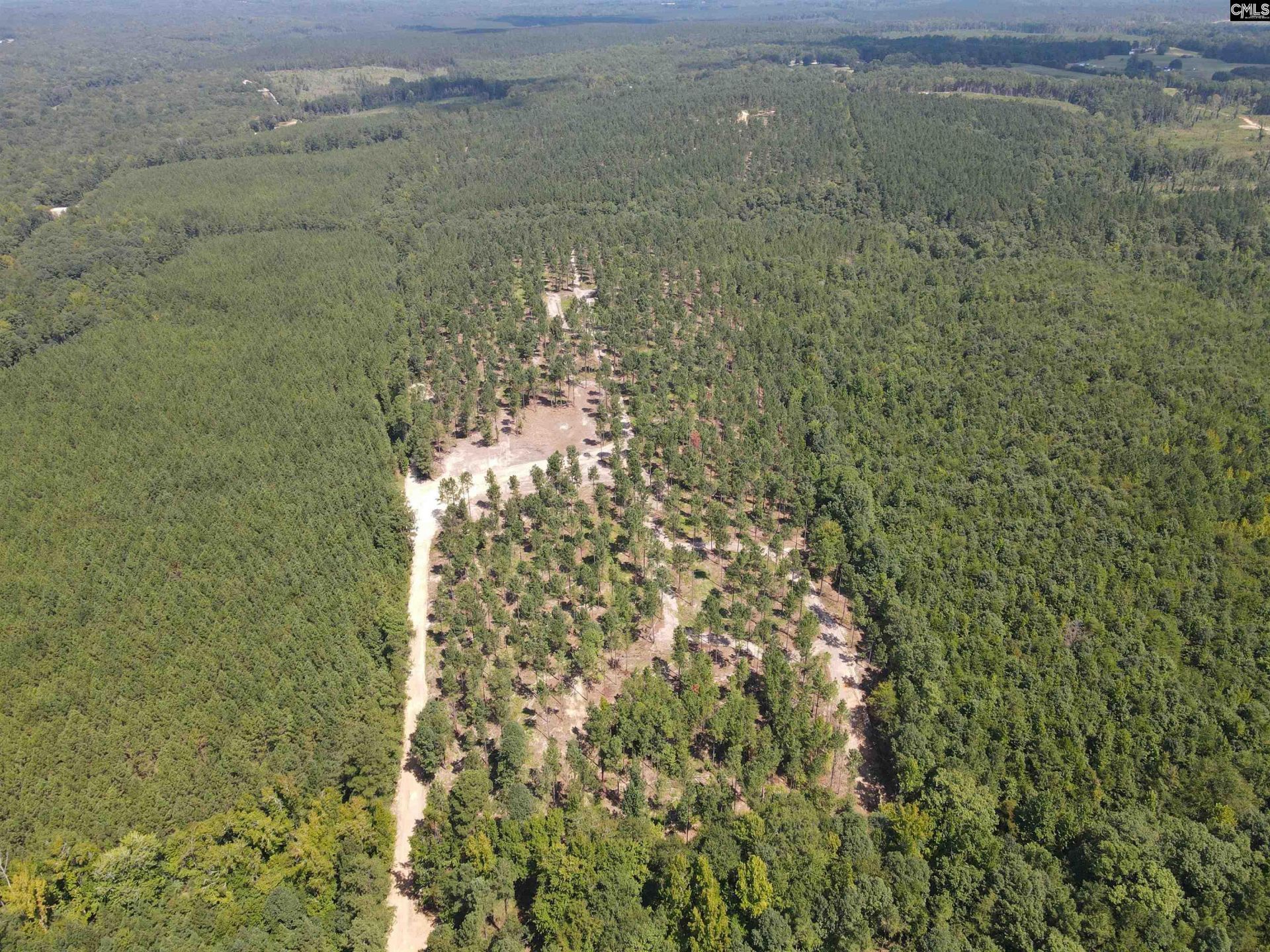Tract 1 Hoke Road  Photo 20
