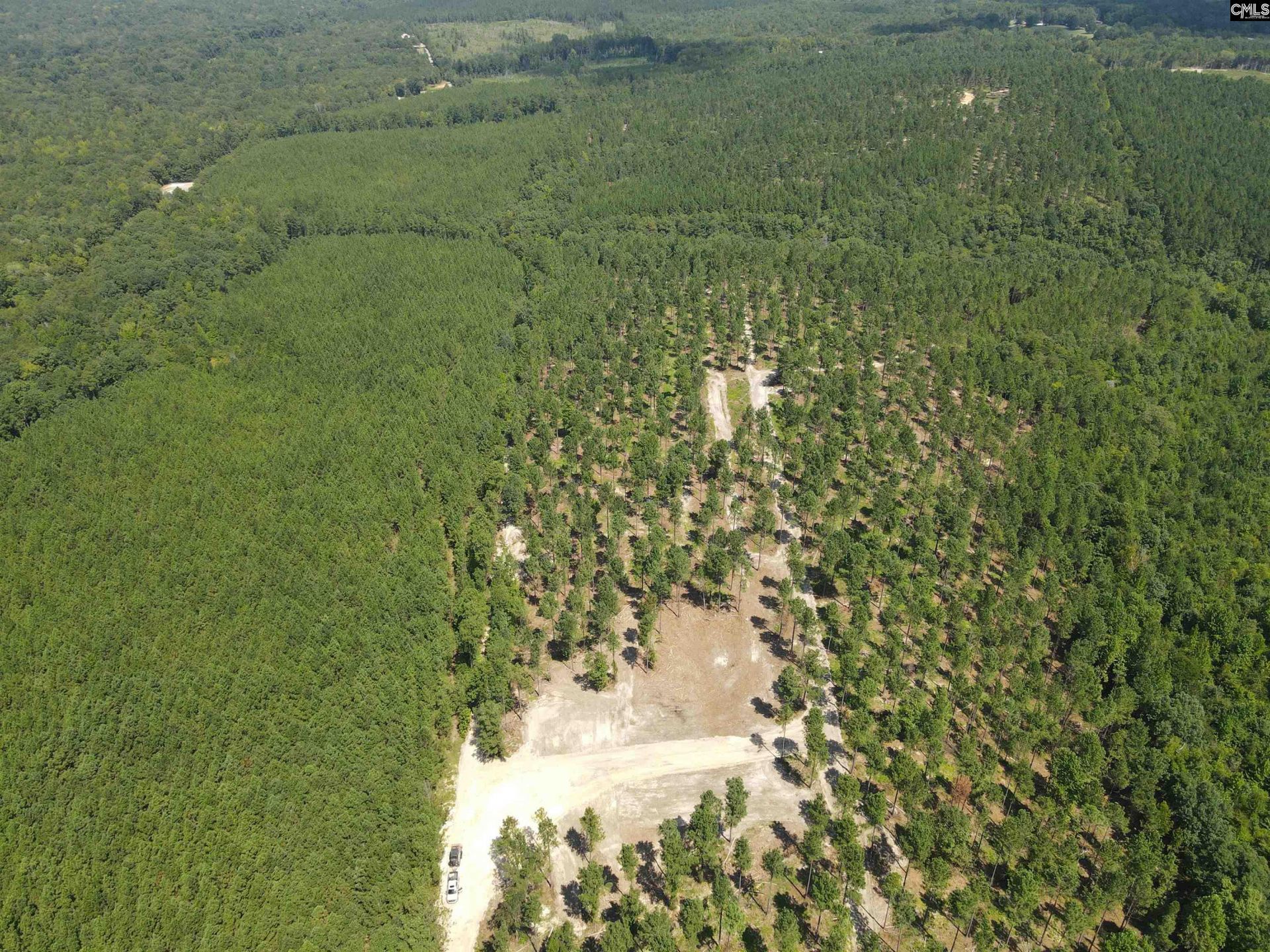 Tract 1 Hoke Road  Photo 21