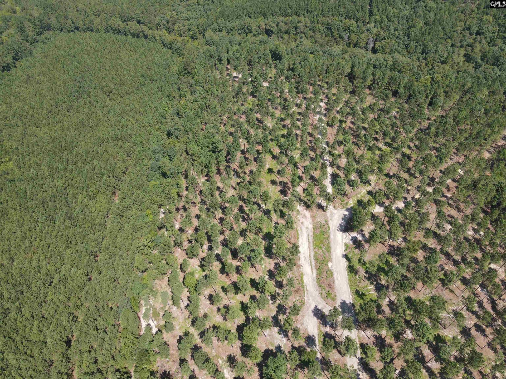 Tract 1 Hoke Road  Photo 22