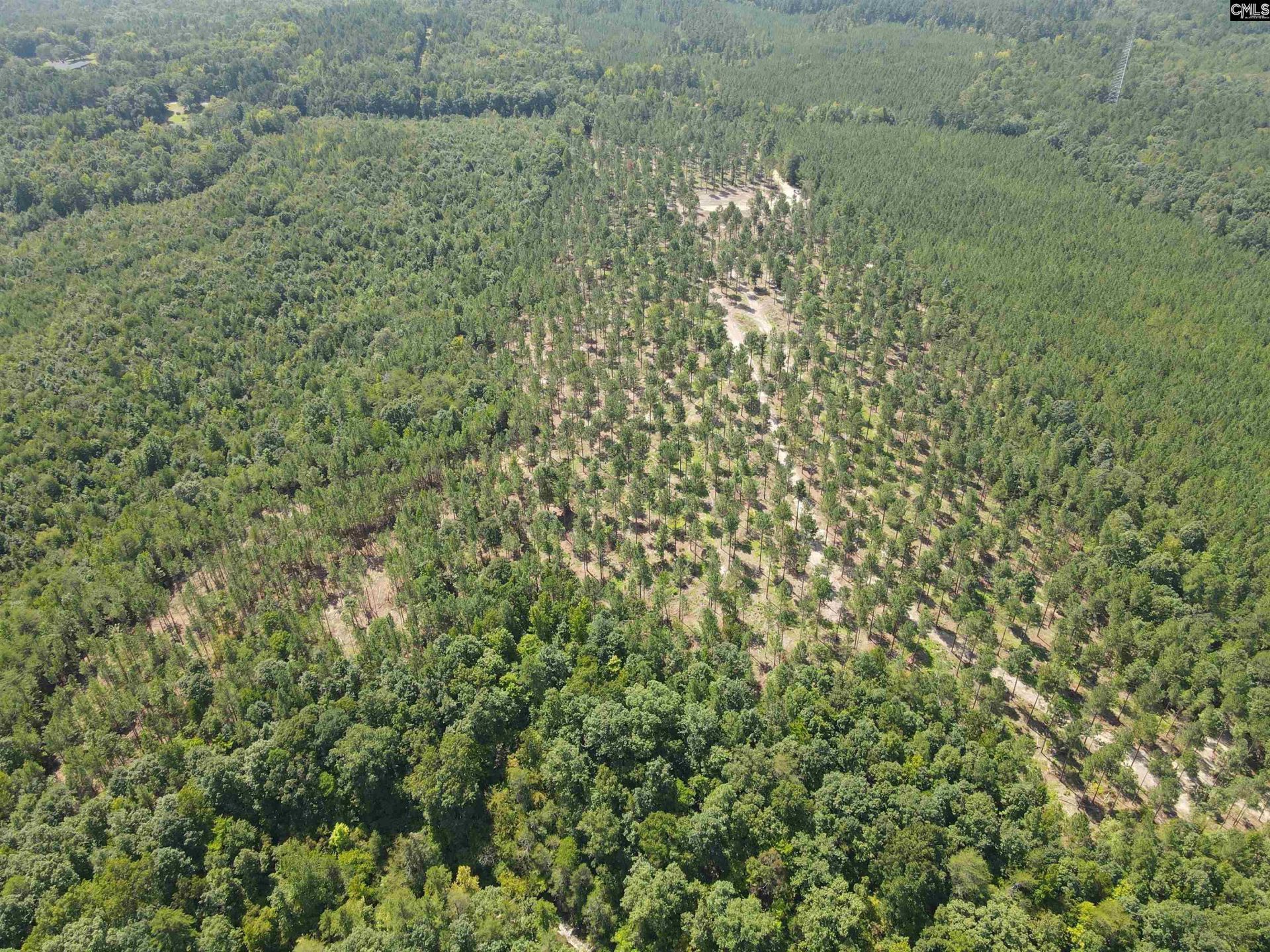 Tract 1 Hoke Road  Photo 24