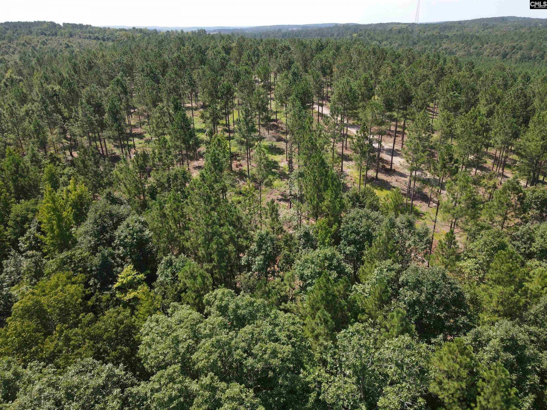 Tract 1 Hoke Road  Photo 26