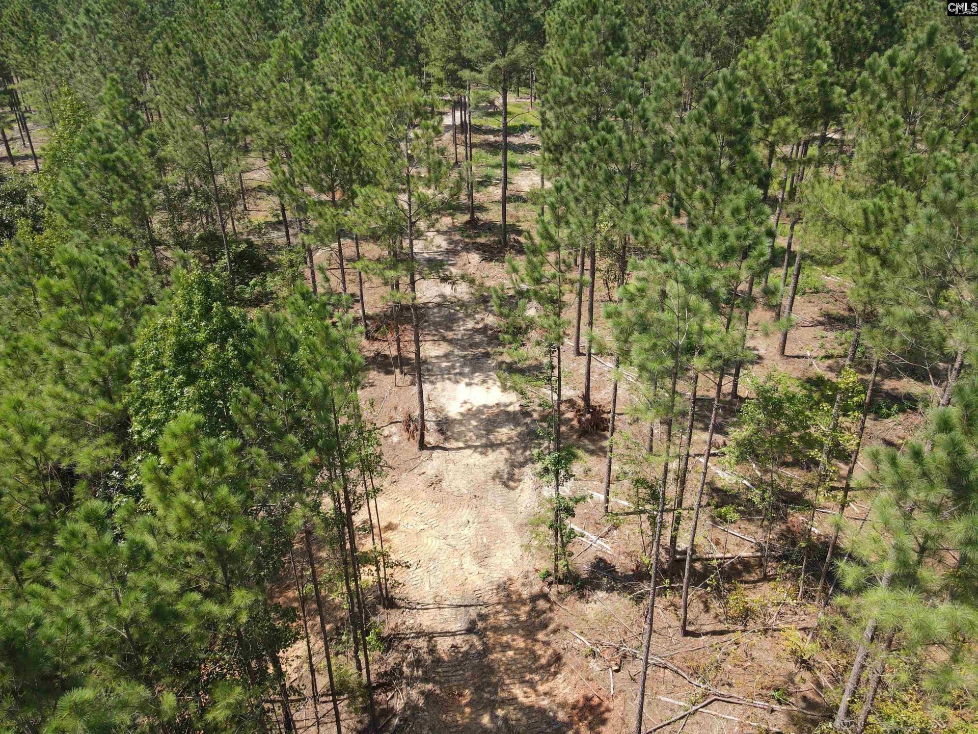 Tract 1 Hoke Road  Photo 28