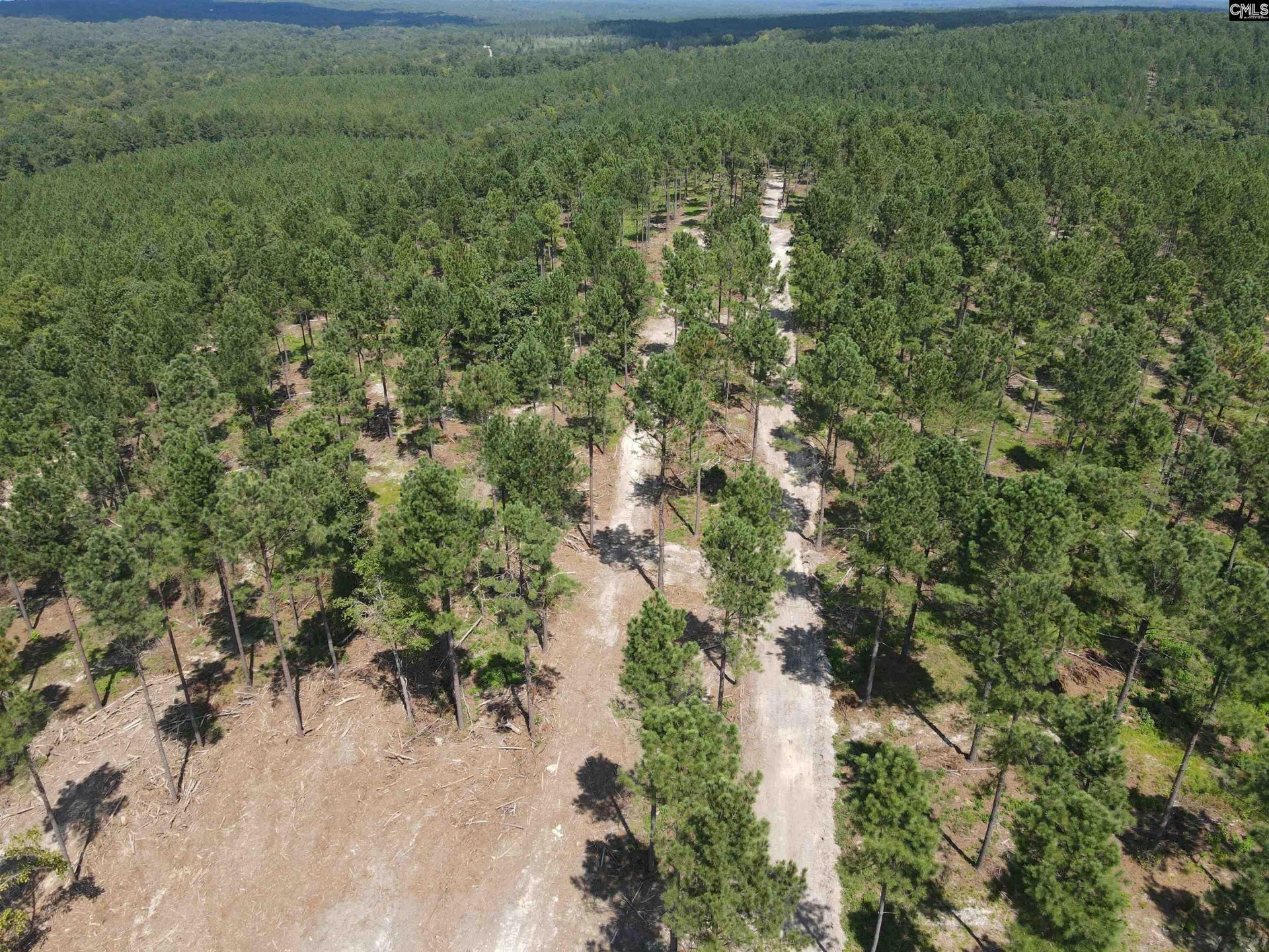 Tract 1 Hoke Road  Photo 31