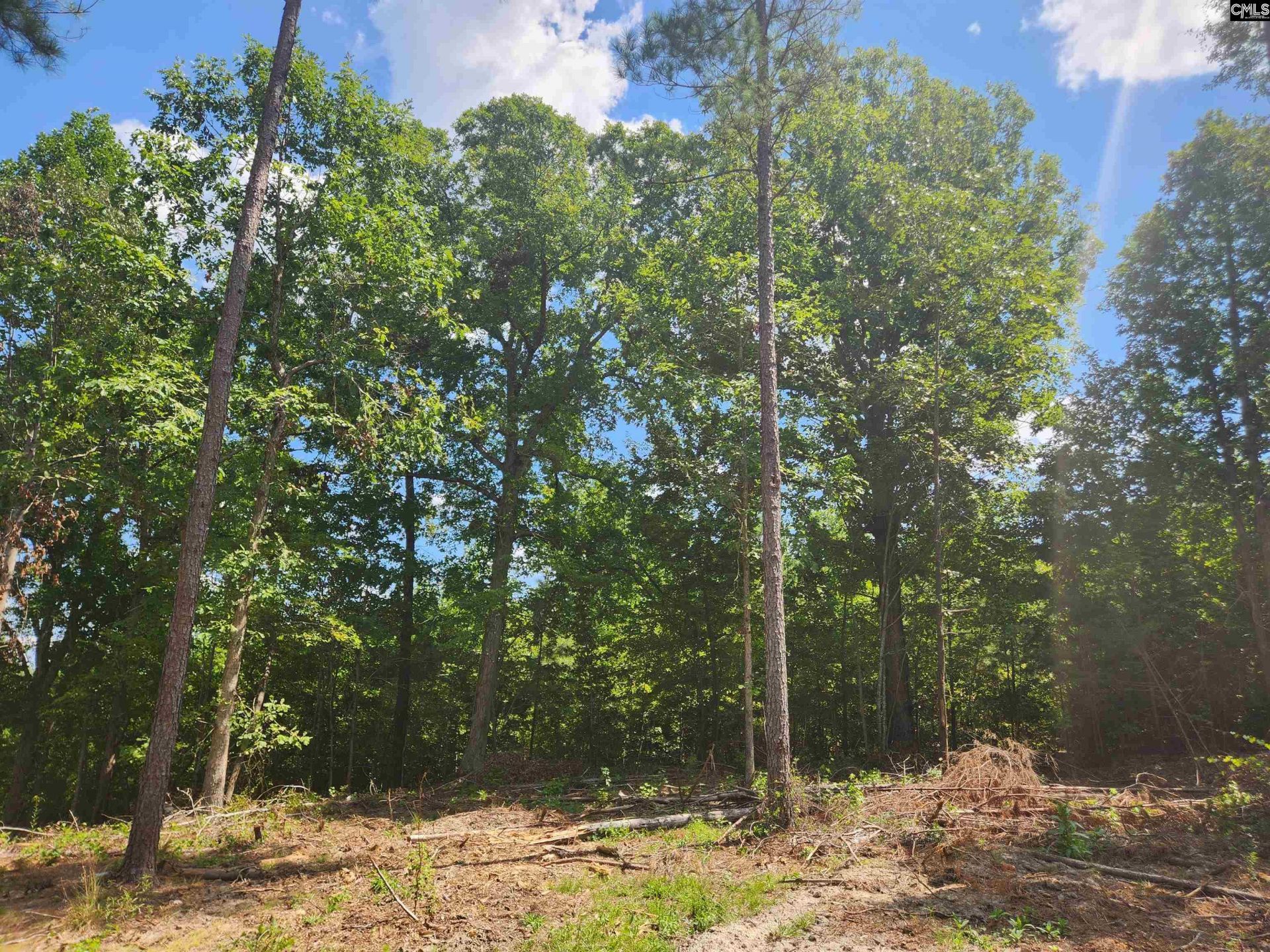 Tract 1 Hoke Road  Photo 4