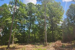 Tract 1 Hoke Road  photo 4