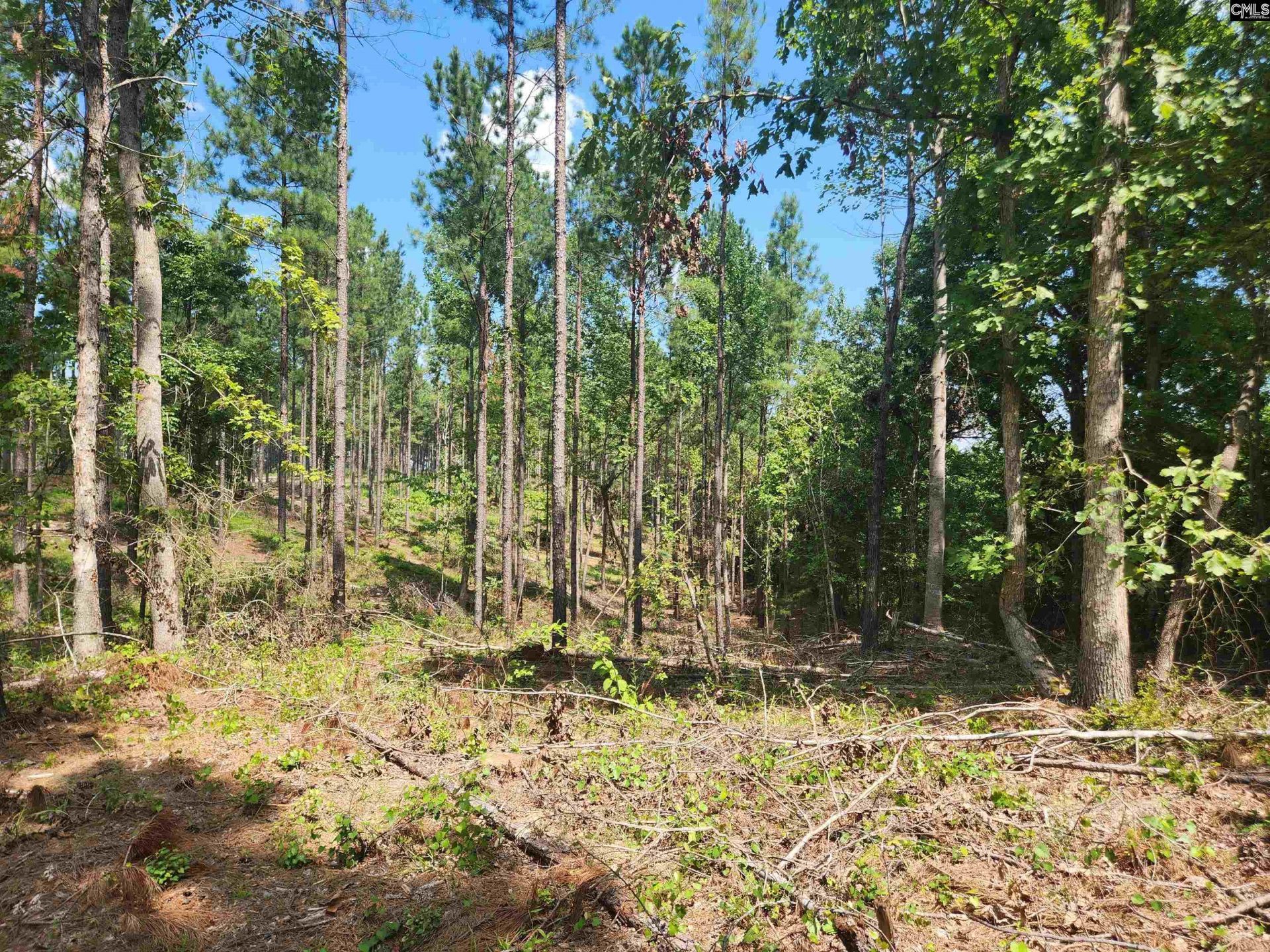 Tract 1 Hoke Road  Photo 5