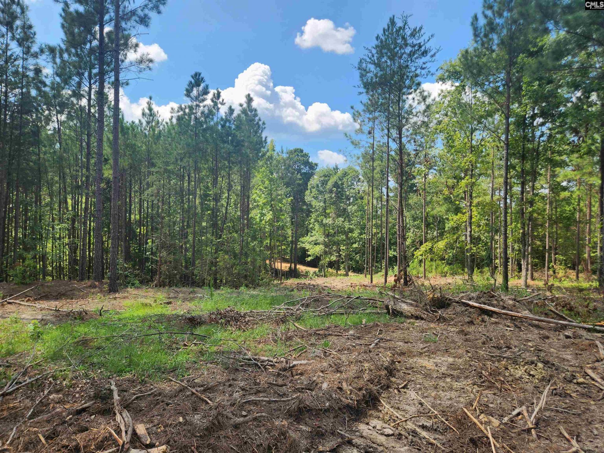 Tract 1 Hoke Road  Photo 6