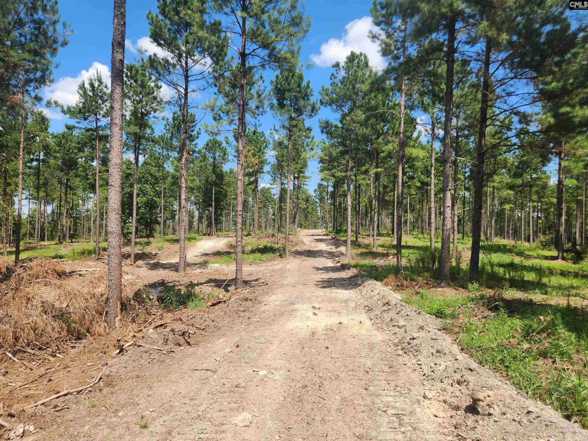 Tract 1 Hoke Road  Photo 7