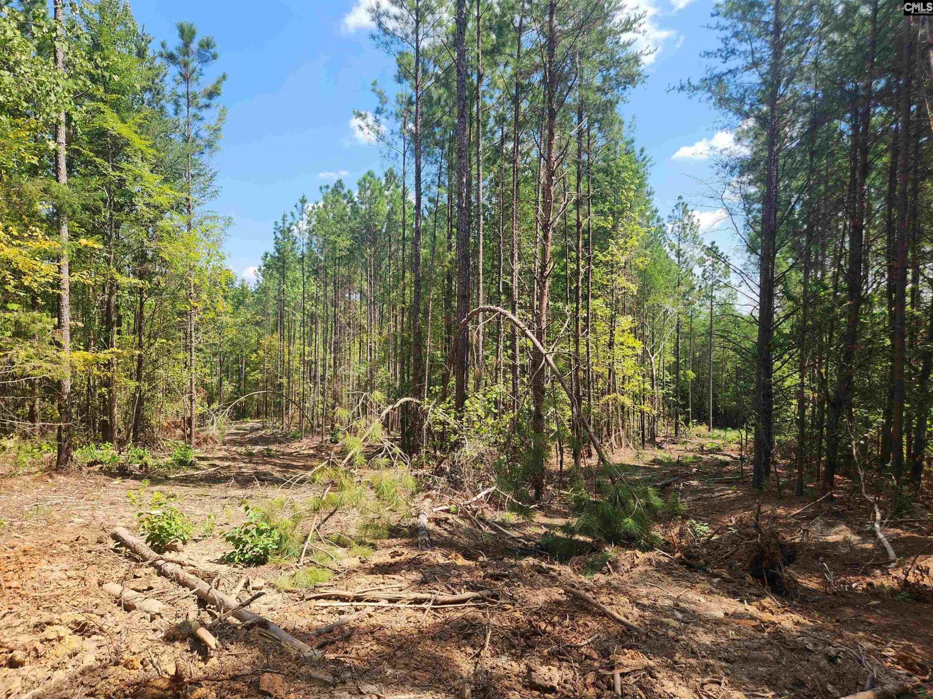 Tract 1 Hoke Road  Photo 9