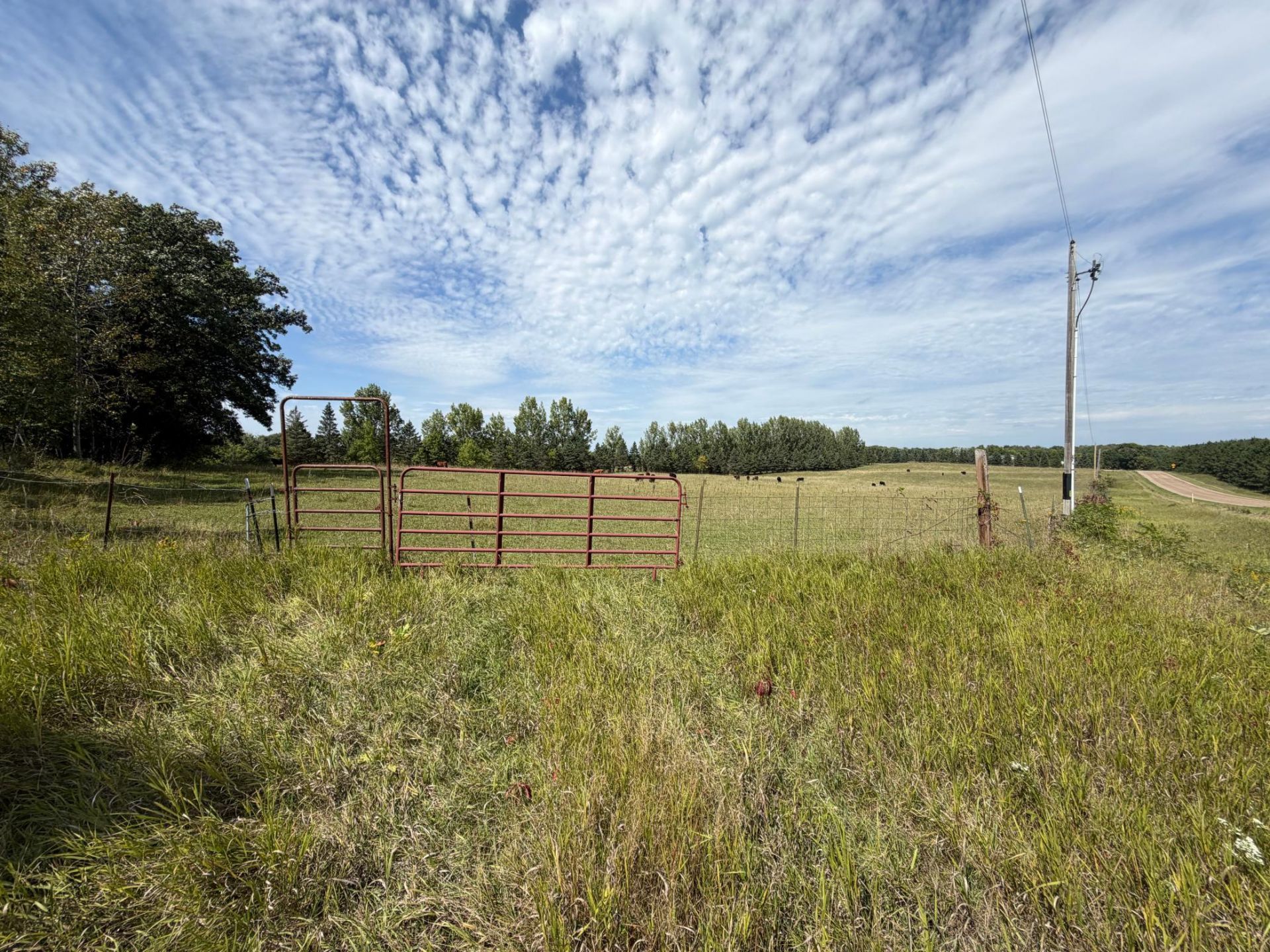 Tbd Frazee Rd , Frazee, MN 56544 Main Photo