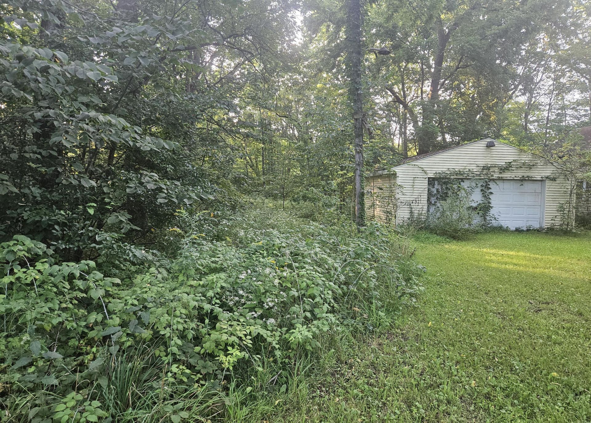 24780 60 1/2 Street, Bangor, MI 49013 Main Photo