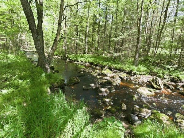 W15052 County Road J Road, Deerbrook, WI 54452