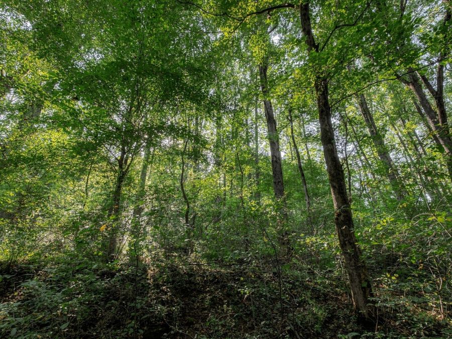Property Image 24