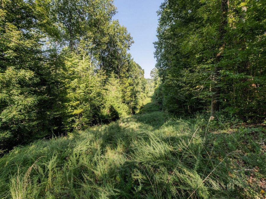 Property Image 34
