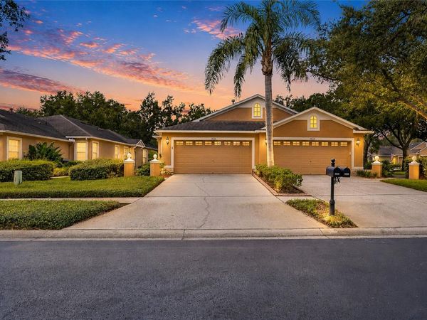 19126 WHITE WING PLACE , TAMPA, FL 33647