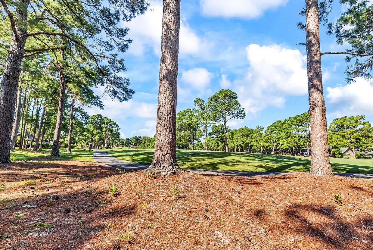 104 Moss Circle  Photo 33